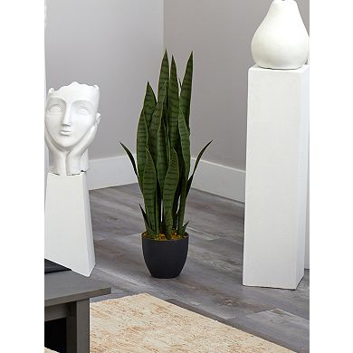 nearly natural Sansevieria Arrangement