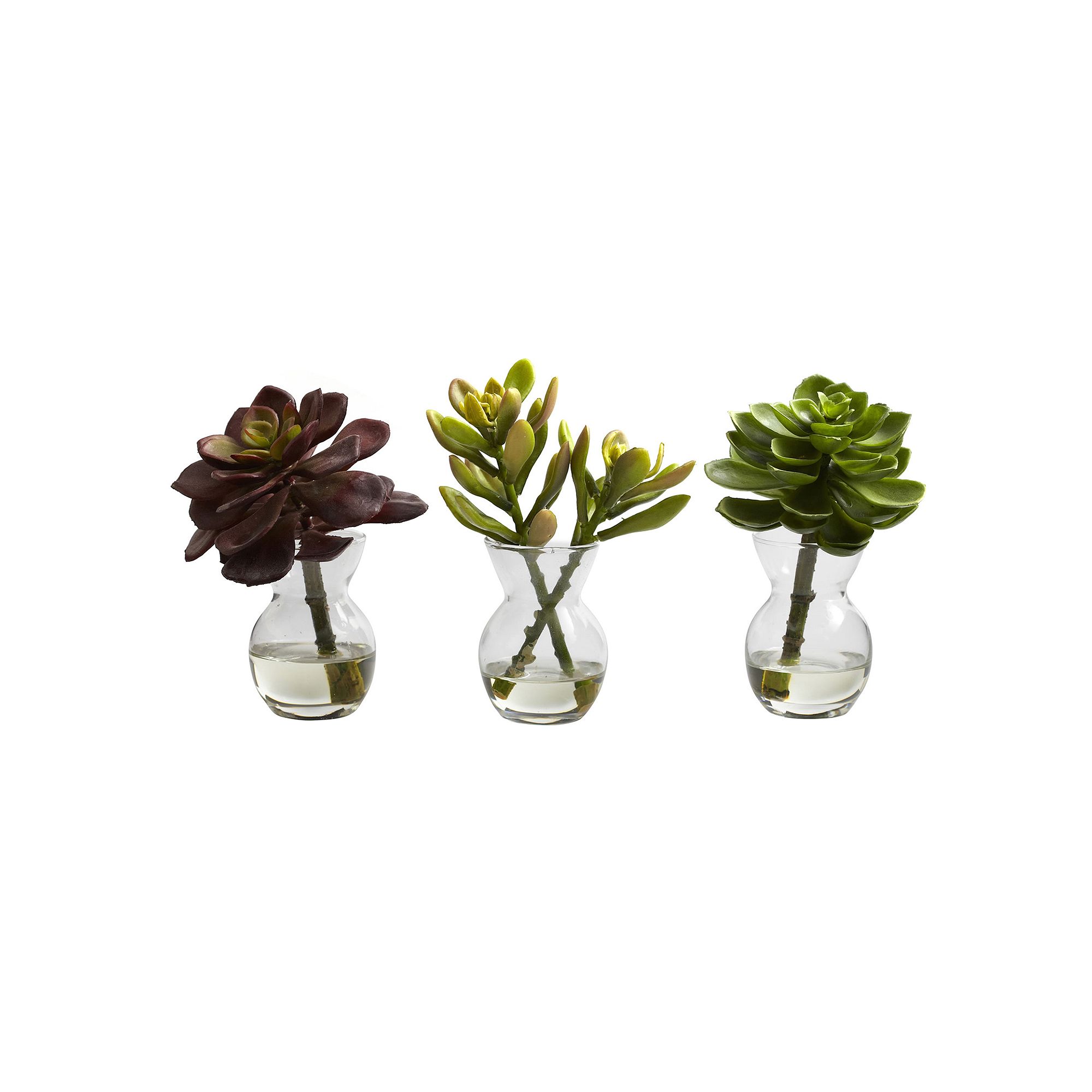 nearly natural 3-pc. Succulent Arrangement Set, Green