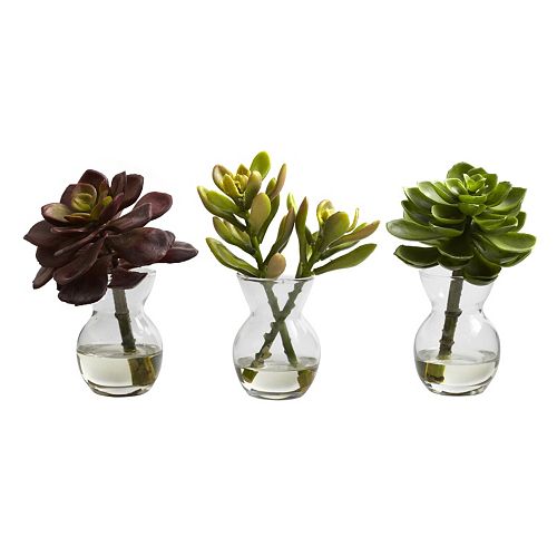 nearly natural 3-pc. Succulent Arrangement Set