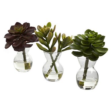 nearly natural 3-pc. Succulent Arrangement Set
