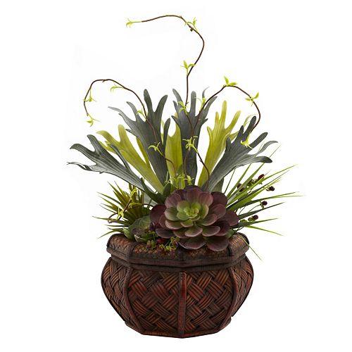nearly natural Succulent Garden Plant