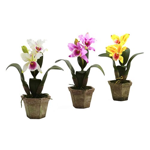nearly natural 3-pc. Potted Cattelya Orchid Arrangement Set