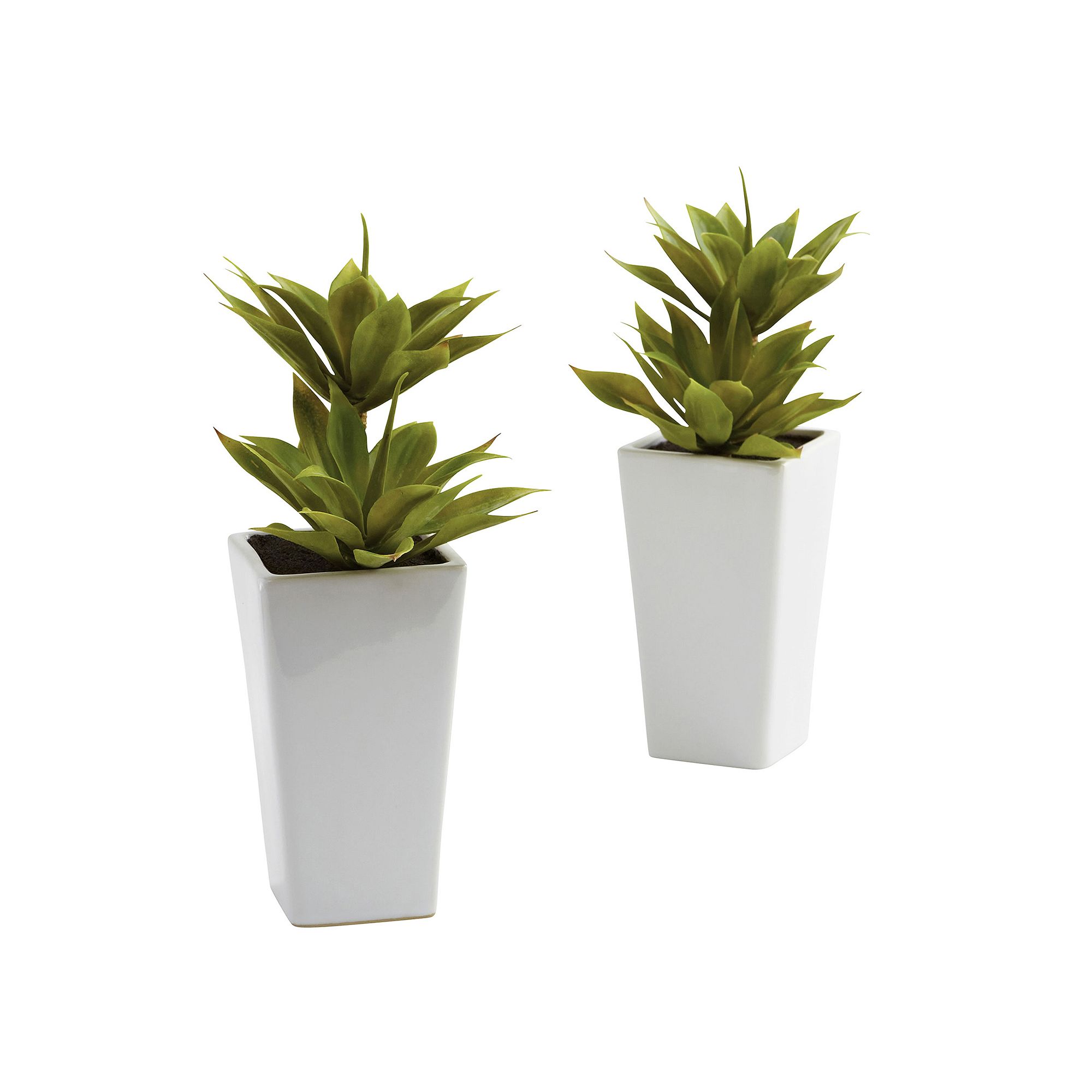 nearly natural 2-pc. Mini Agave Arrangement Set, Green