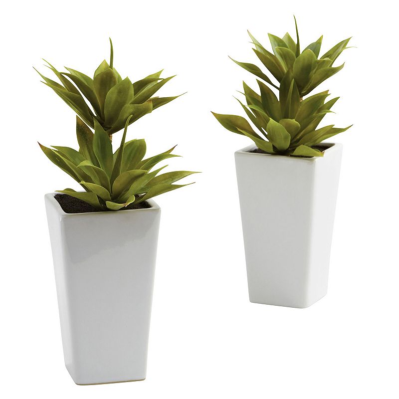 nearly natural 2-pc. Mini Agave Arrangement Set, Green