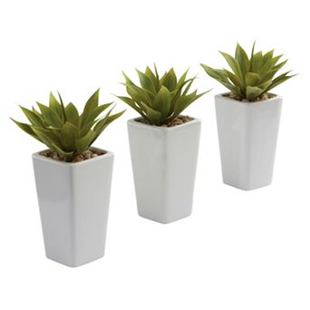 nearly natural Artificial Mini Agave Arrangement 3 pc Set