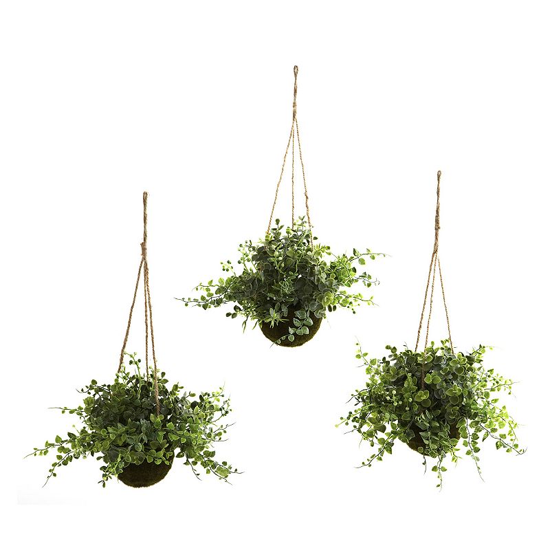 nearly natural 3-pc. Eucalyptus, Maiden Hair and Berry Hanging Plant Basket
