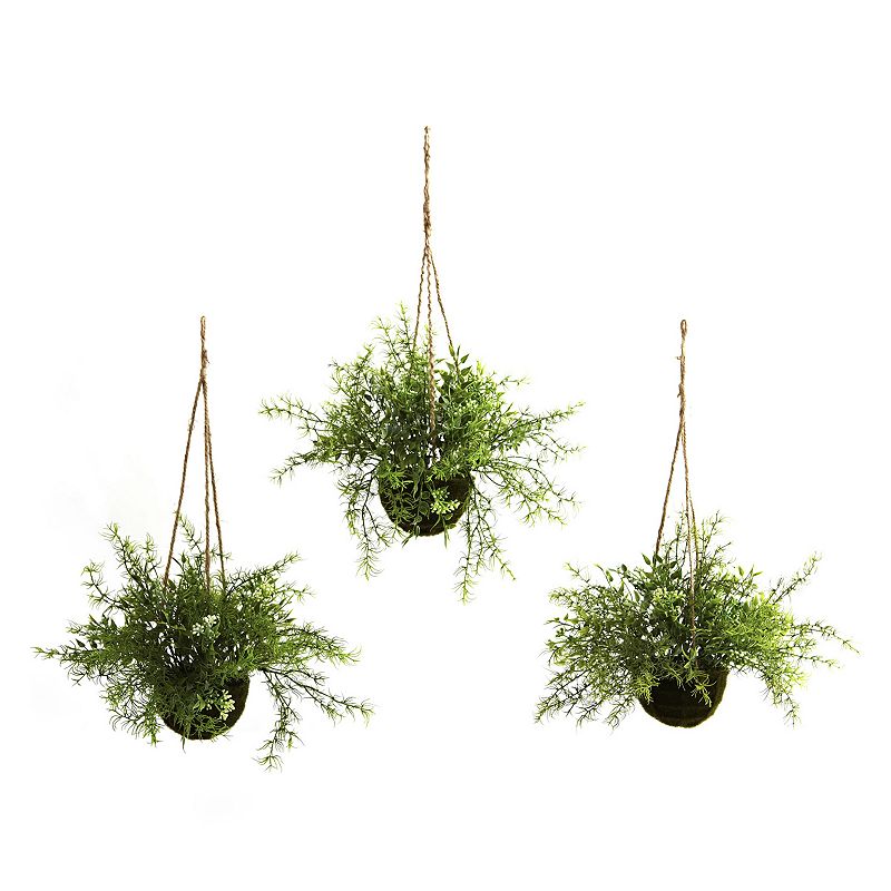 nearly natural 3-pc. Ruscus, Sedum and Springeri Hanging Plant Basket Set, 