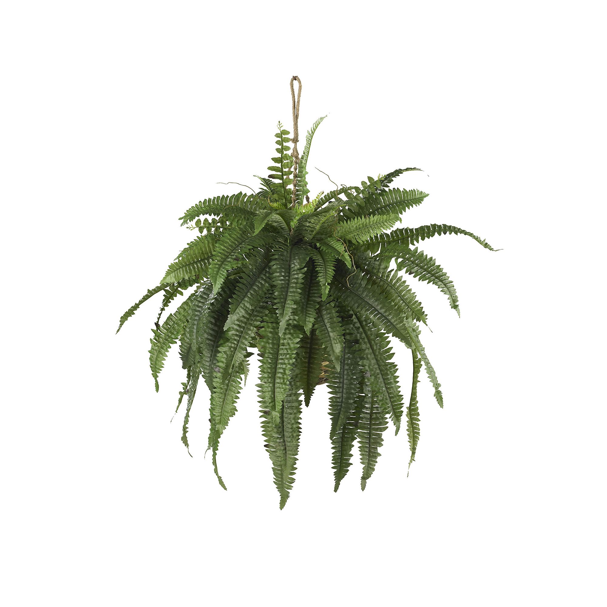 nearly natural Boston Fern Hanging Plant, Green
