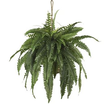 nearly natural Boston Fern Hanging Plant