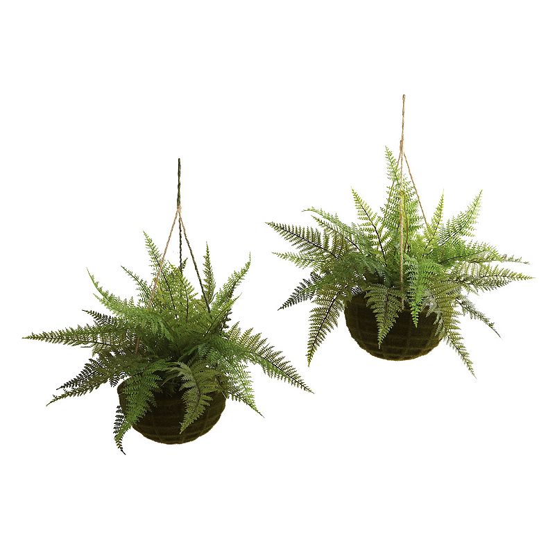 nearly natural 2-pc. Fern Hanging Plant Basket Set - Indoor and Outdoor, Gr