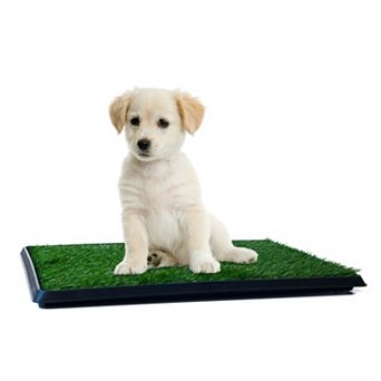 PAW Puppy 16" x 20" Potty Trainer Indoor Restroom for Pets