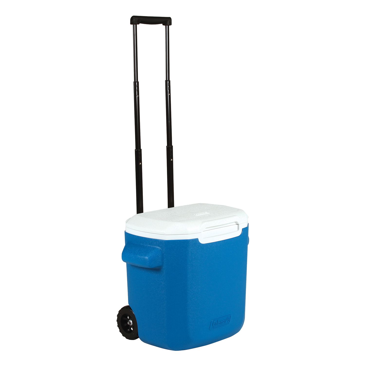 coleman 16 quart cooler