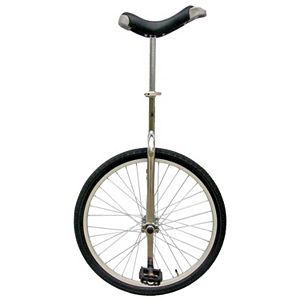 Fun 24-in. Unicycle - Youth