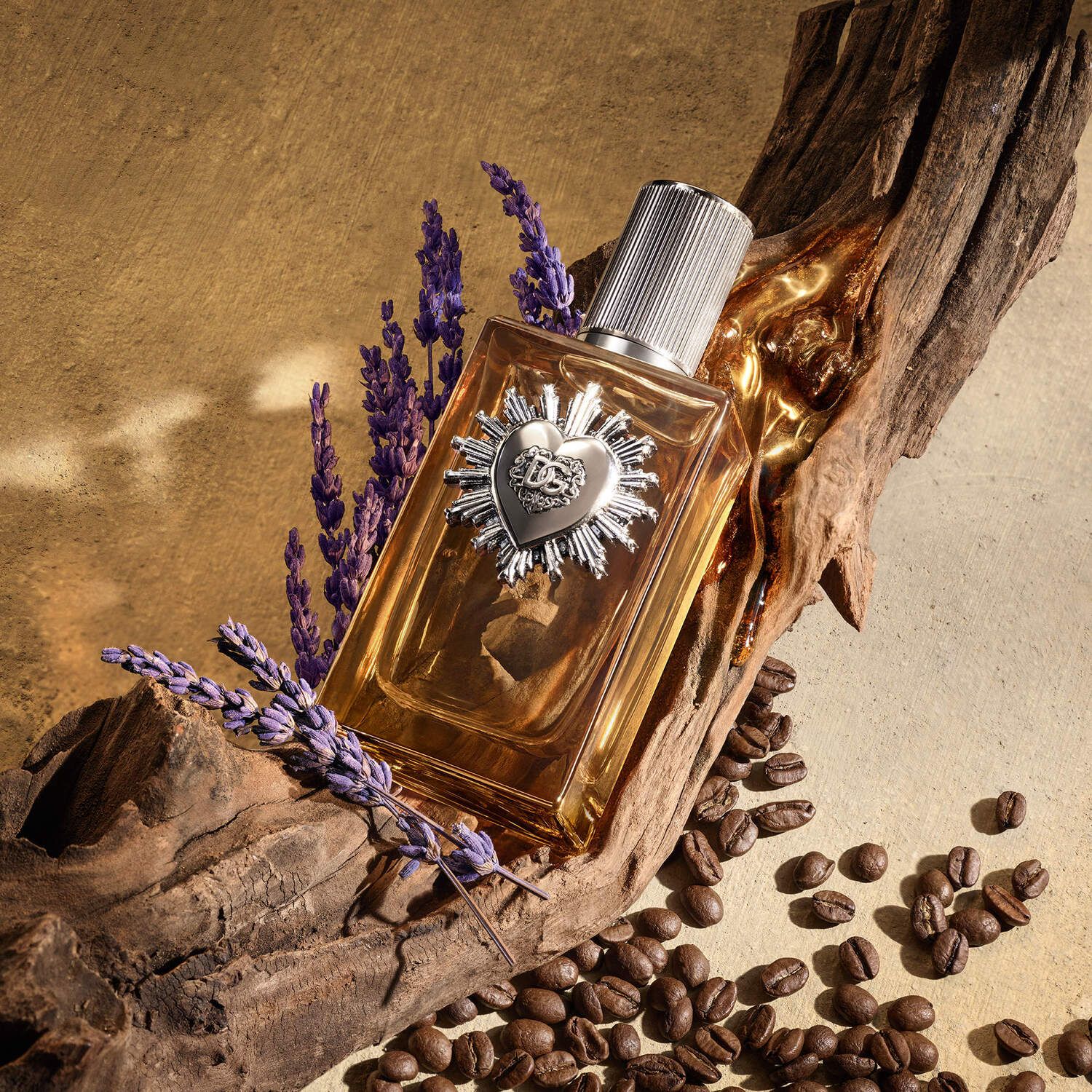 DOLCE&GABBANA Devotion For Men Parfum with Coffee & Amber Woods