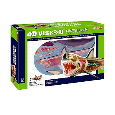 4D Vision Shark Model by 4D Master