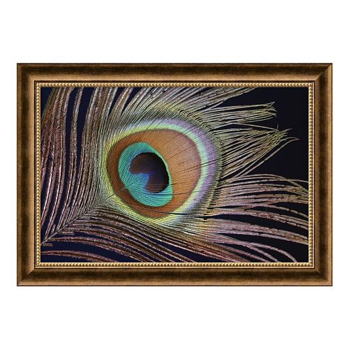 ''Sumptuous'' Peacock Framed Art Print