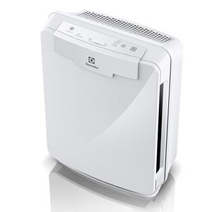 Electrolux PureOxygen 150 HEPA Air Purifier
