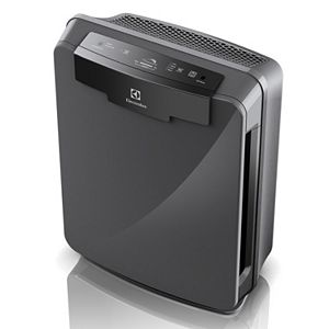 Electrolux PureOxygen 450 HEPA Air Purifier
