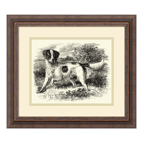 ''English Setter'' Framed Wall Art