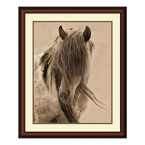 ''Freedom'' Horse Framed Wall Art