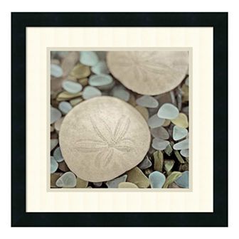 ''Aquatic II'' Sand Dollar Framed Wall Art