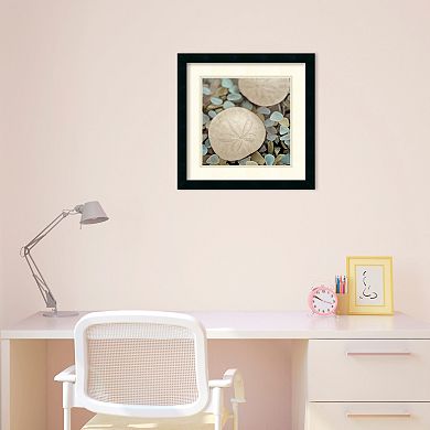 ''Aquatic II'' Sand Dollar Framed Wall Art