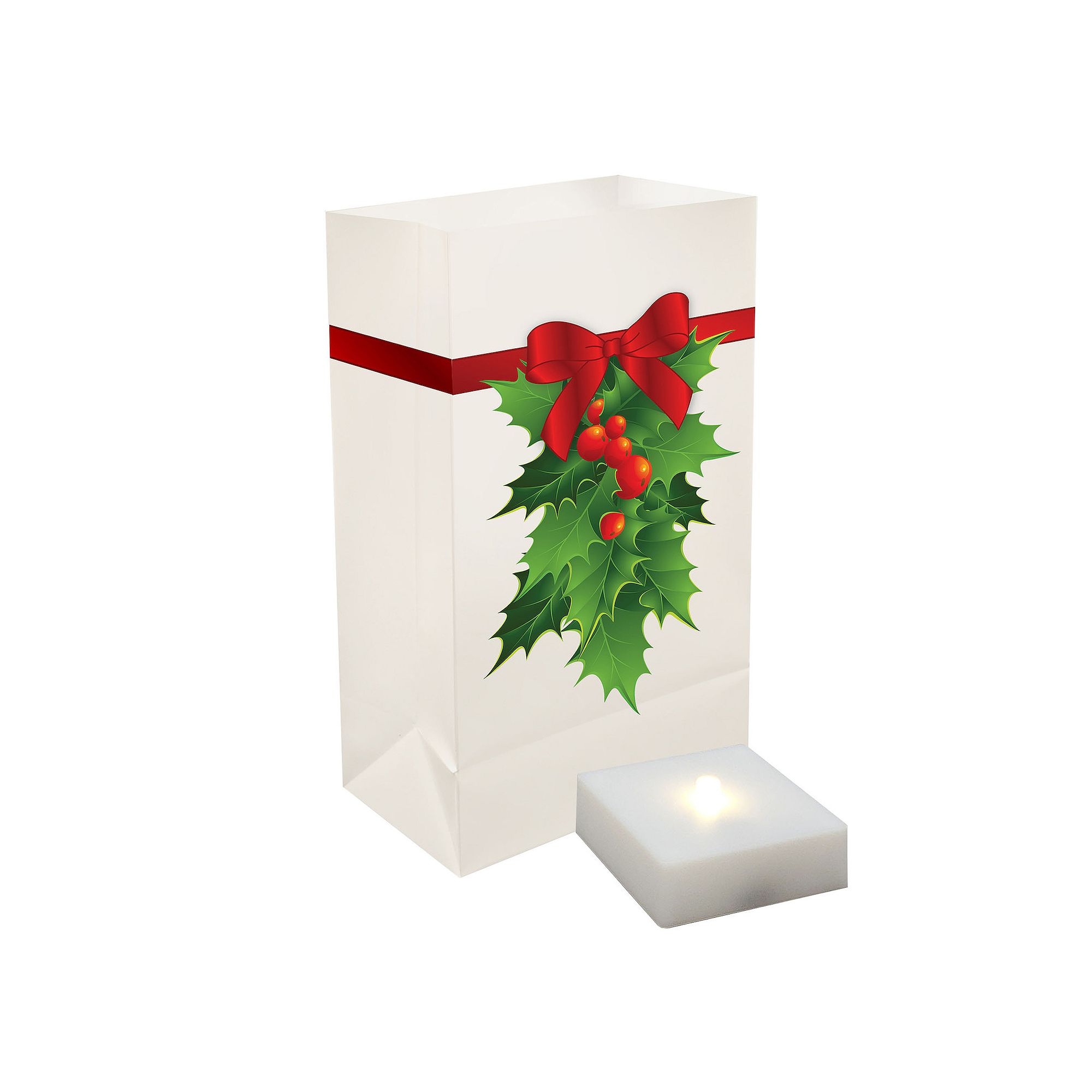 LumaBase 6-pk. Timer Lumalite Luminaria Bag Set - Indoor & Outdoor, Holly
