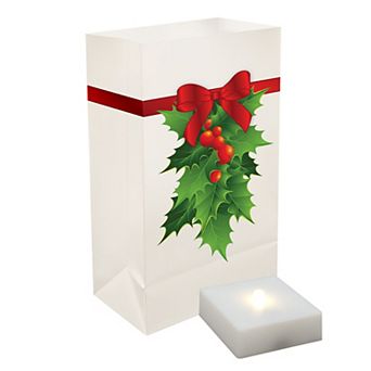 LumaBase 6 pk Timer Lumalite Luminaria Bag Set - Indoor & Outdoor