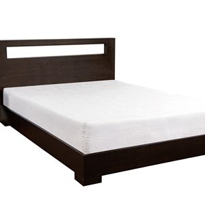 Dream Therapy 8-in. Memory Foam Mattress