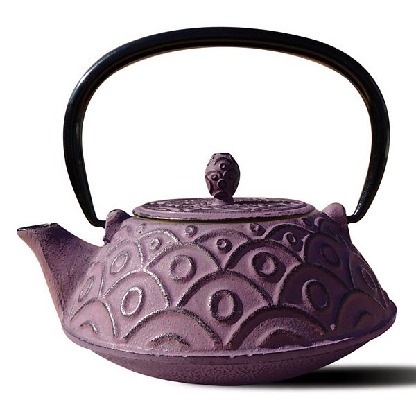 CAST IRON SMALL TEA KETTLE - Dutch Country General Store