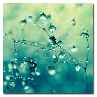 18'' x 18'' ''Spring Notes'' Canvas Wall Art