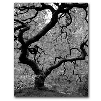 18'' x 24'' ''Japanese Tree II'' Canvas Wall Art