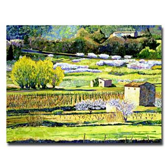 18'' x 24'' ''Bordeaux Vineyards in Spring'' Canvas Wall Art by David Lloyd Glover