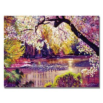 24'' x 32'' ''Central Park Spring Pond'' Canvas Wall Art by David Lloyd Glover