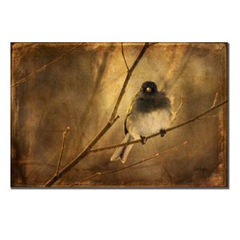 22'' x 32'' ''Backlit Birdie Being Buffeted'' Canvas Wall Art by Lois Bryan
