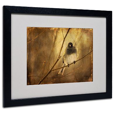16'' x 20'' ''Backlit Birdie Being Buffeted'' Framed Canvas Wall Art by Lois Bryan