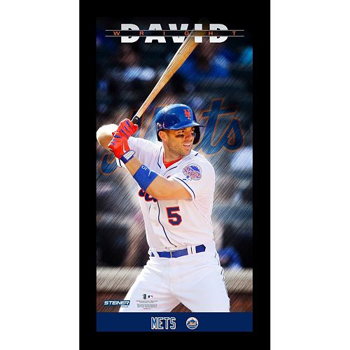 Steiner Sports New York Mets David Wright 10'' x 20'' Profile Wall Art