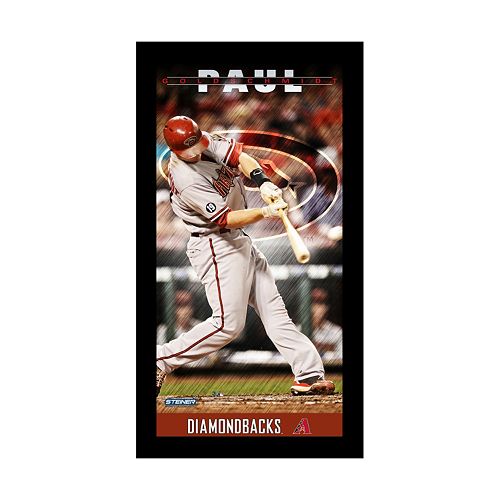 Steiner Sports Arizona Diamondbacks Paul Goldschmidt 10 x 20 Player Profile Wall Art