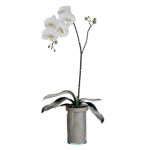 33-in. Artificial Phalaenopsis Plant