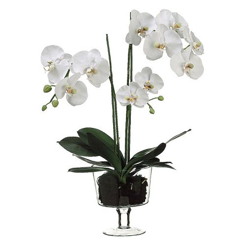 29-in. Artificial Phalaenopsis Plant