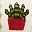 Potted Plants