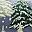 Snowy Trees