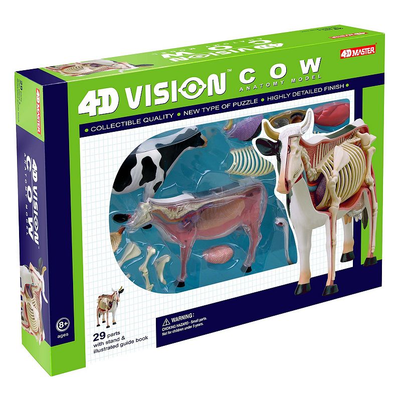 4D Vision Cow Anatomy Model by 4D Master, Multicolor
