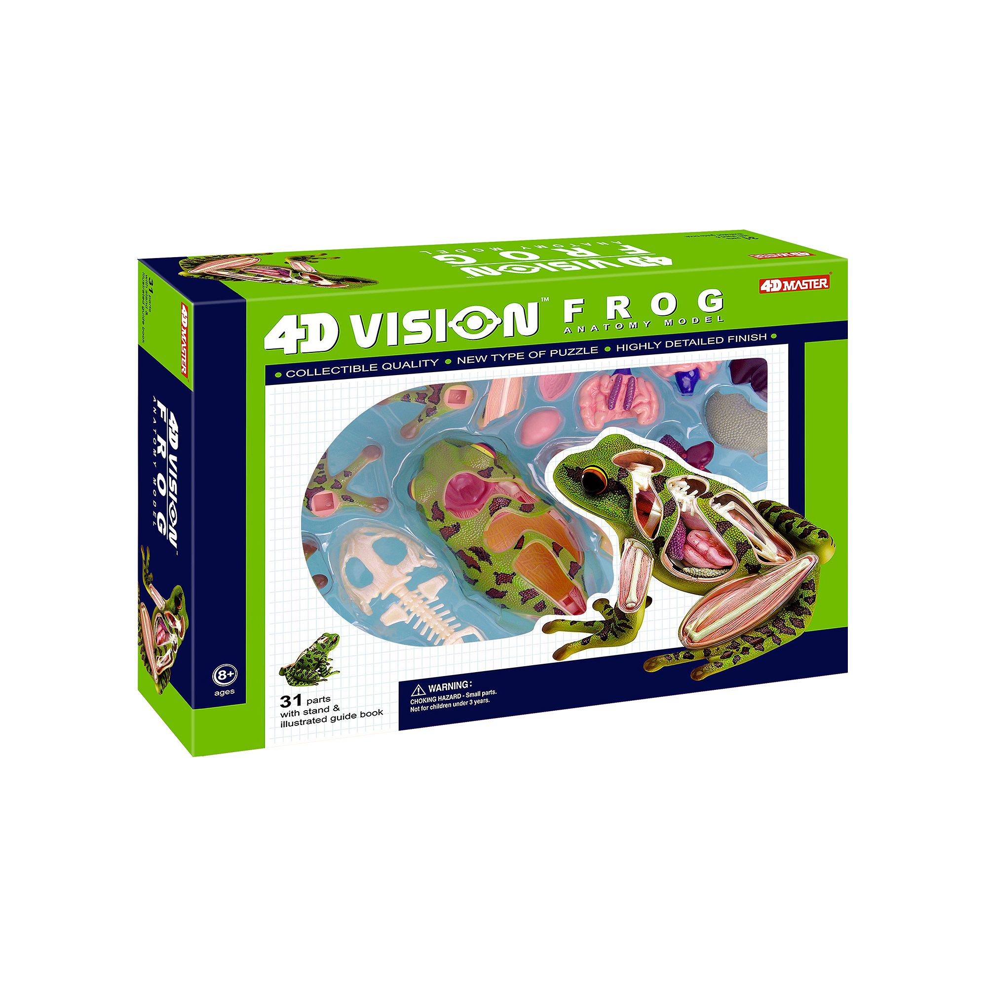 98496562 4D Vision Frog Anatomy Model by 4D Master, Multico sku 98496562
