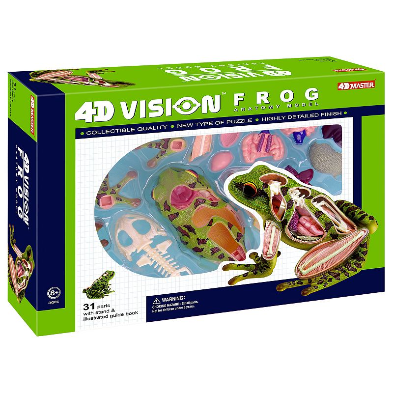 4D Vision Frog Anatomy Model by 4D Master, Multicolor