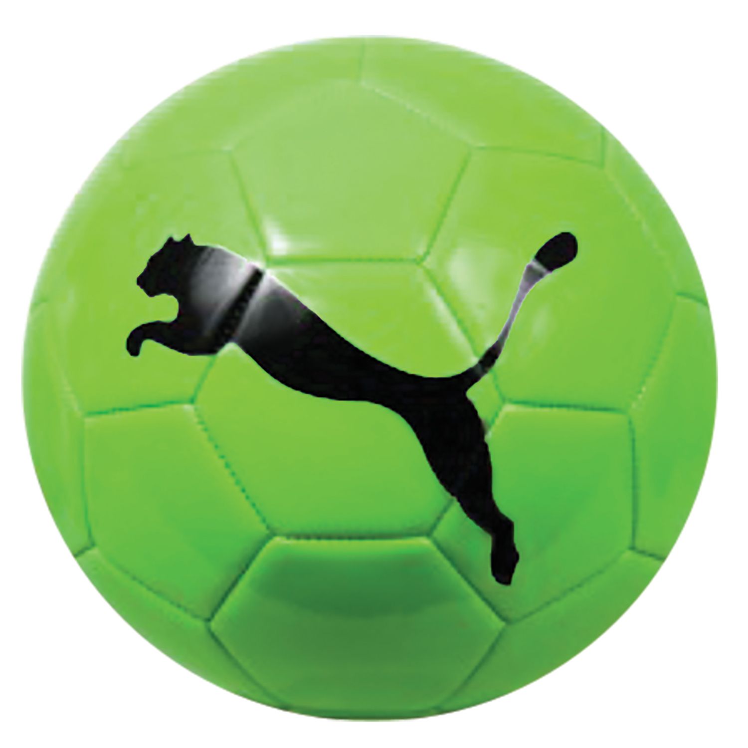 cat soccer ball