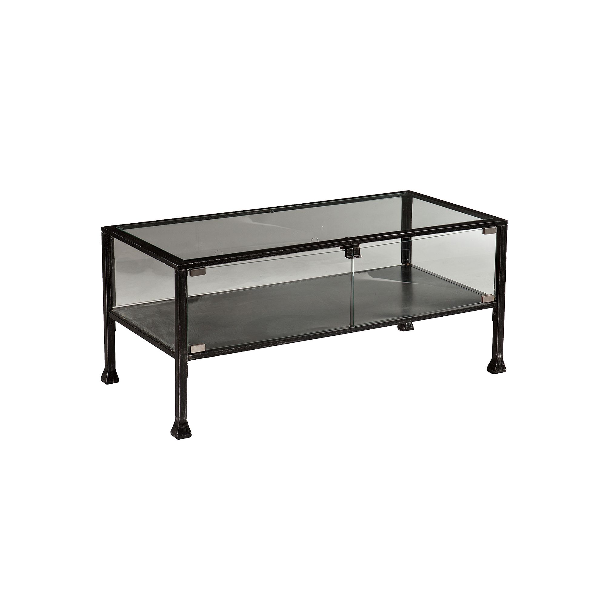 Southern Enterprises Henshaw Terrarium Coffee Table, Black