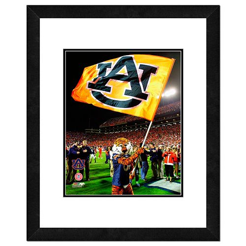 Auburn Tigers Mascot Framed 11 x 14 Photo