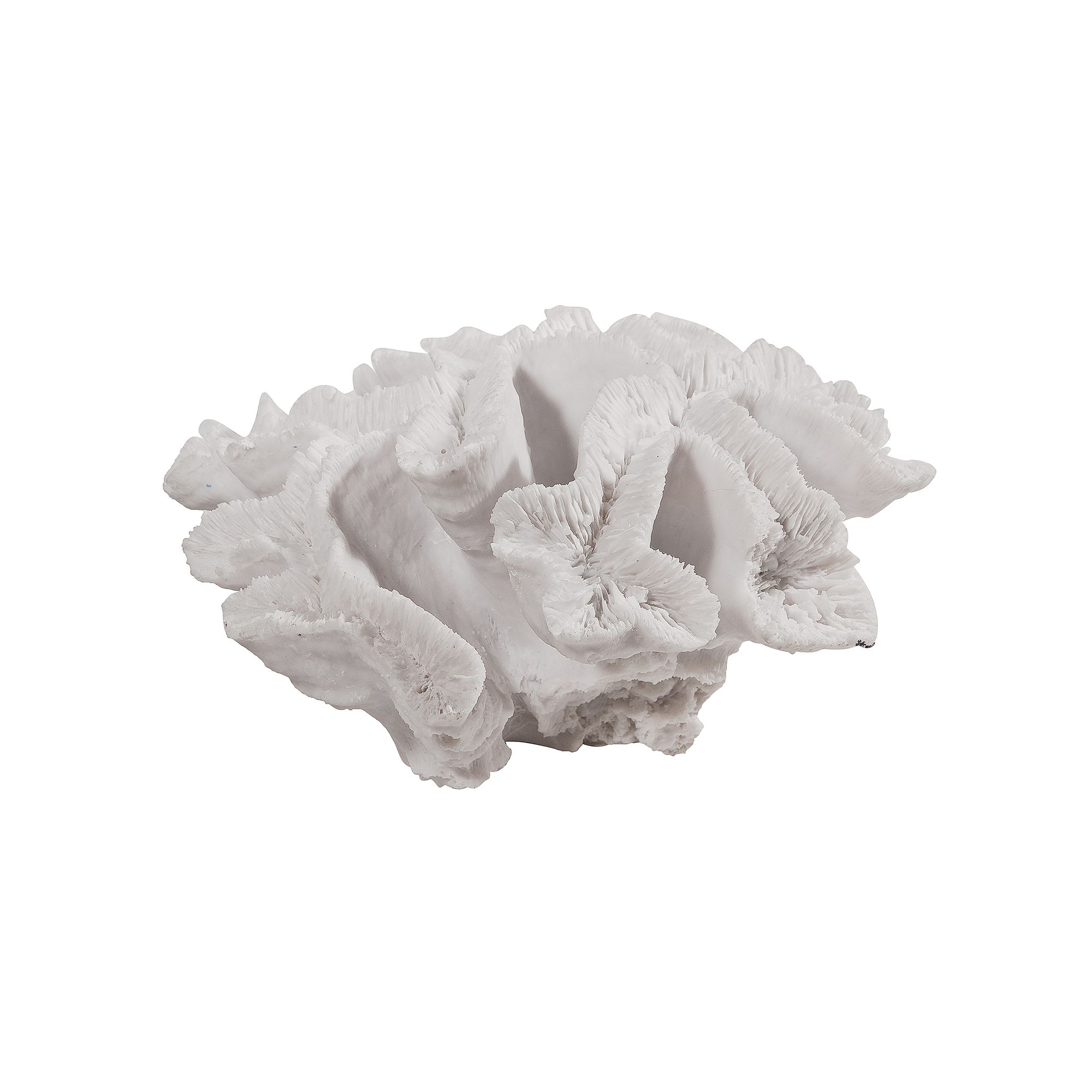 Palancar Coral Decor, White