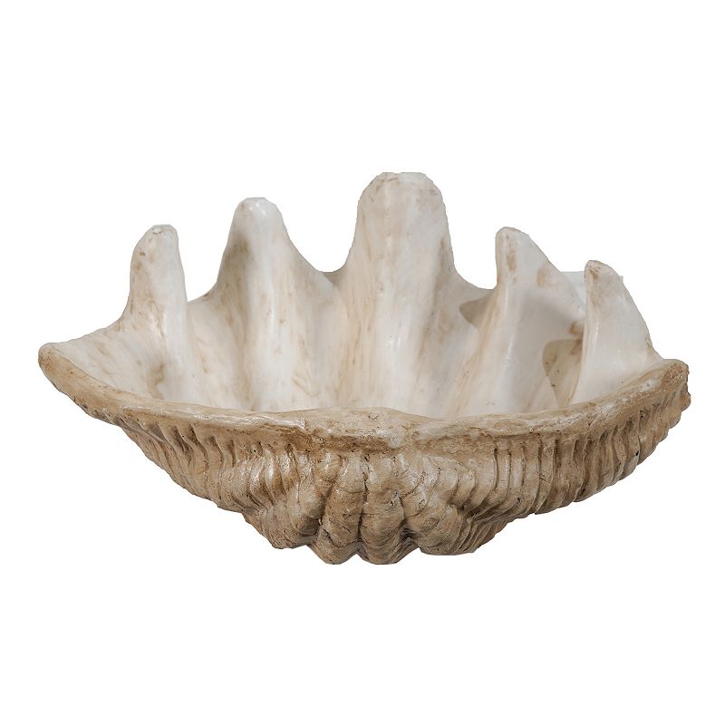 Clam Shell Decor, Lt Brown